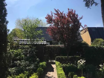 a garden with trees and bushes and a building at Appelbloesem in Bergen