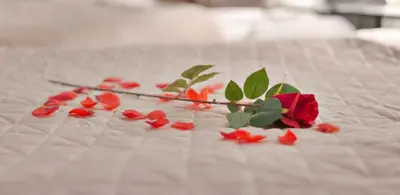 a group of red flowers on a bed at Wellness Suite Utrecht in Utrecht