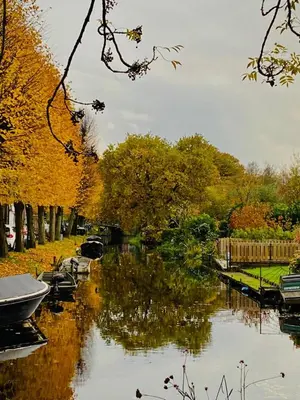 a body of water with trees in the background at De Rokerij in Monnickendam