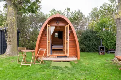 a small wooden iguana cabin in the grass at Tiny Camping Pod in Warmond