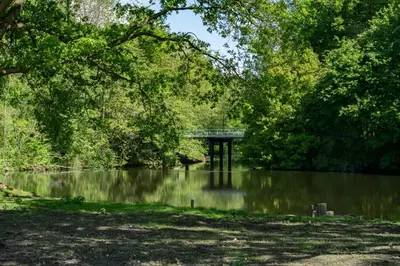 a bridge in the middle of a river with trees at EuroParcs Het Amsterdamse Bos in Amstelveen