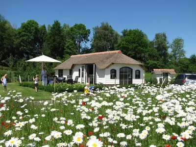 a field of flowers in front of a house at Mariahoeve-Logies #Polderhuisje in Woubrugge