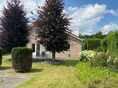 a house with a tree and two chairs in the yard at Big Family villa 12p big garden with bathtub and jacuzzi in Zeewolde