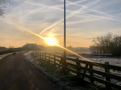 a dog walking down a road with the sun in the sky at Logement Bilderdam in Leimuiden