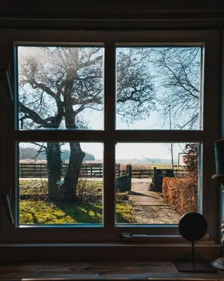 a window with a view of a tree through it at Logement Bilderdam in Leimuiden