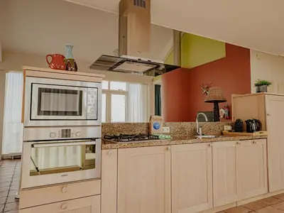 a kitchen with a stove and a microwave at Penthouse with Lake Views in Uitgeest