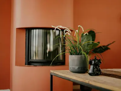 a potted plant sitting on a table in a room at Penthouse in Uitgeest