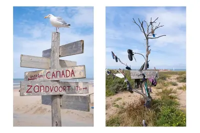 a seagull sitting on a wooden sign at the beach at Have a nice stay! - Salty Beachhouse in Noordwijk aan Zee
