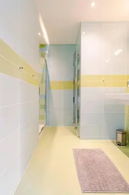 a bathroom with a walk in shower and a rug at Tussen Tulp & Zee in Noordwijk