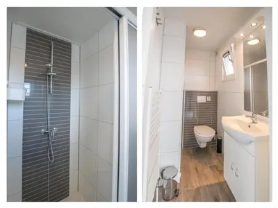 a bathroom with a shower and a sink and a toilet at Purperreiger 24-34 in Breukelen