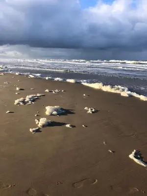 a beach with footprints in the sand and the ocean at Northgo apartment in Noordwijk
