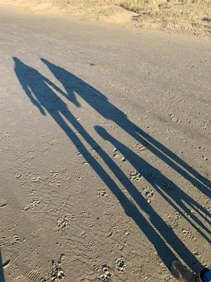 a pair of shadows of a motorcycle on the beach at Chalet Egmond in Egmond aan den Hoef