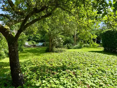 a park with a tree and a field of leaves at De Windroos | Atelier Aan Zee in Groet