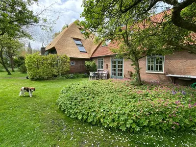 a dog standing in the yard of a house at De Windroos | Atelier Aan Zee in Groet