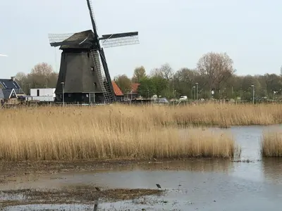 a windmill in a field next to a pond at Comfortable Room in Alkmaar