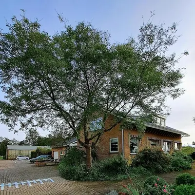 a large tree in front of a building at Carmen's Stay In - Jaagweg 13 - Ilpendam - 15 minuten naar Amsterdam met de bus in Ilpendam