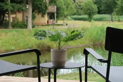 a plant sitting on a table next to two chairs at De Parel - Mystical spaces to discover! in Zeewolde