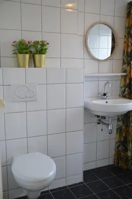 a bathroom with a toilet and a sink and a mirror at Seapaerdje in Bergen aan Zee