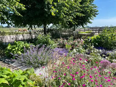 a garden filled with lots of different colored flowers at Hestar Husid, het luxe paardenhuis in Weesp