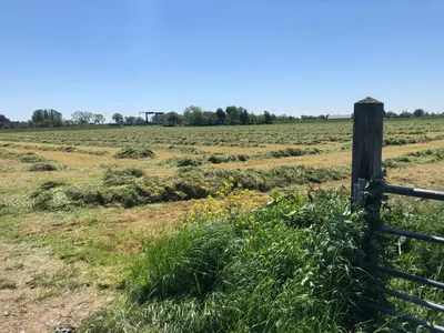 a fence in the middle of a field at Hestar Husid, het luxe paardenhuis in Weesp