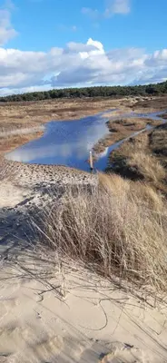 a body of water in the middle of a field at zilvermeeuw in Bergen aan Zee