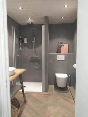 a bathroom with a shower and a toilet and a sink at B&Bslapenopeeneiland in Kaag