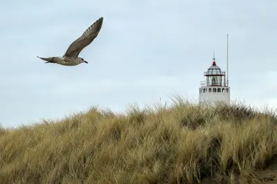 a bird flying over a hill with a lighthouse at De Kroft Beach Residences Noordwijk aan Zee in Noordwijk