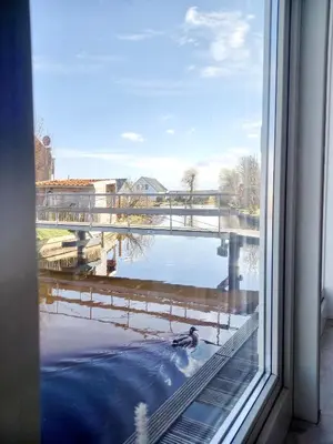 a window view of a duck swimming in the water at Pura Vida del Rio in Oud-Ade