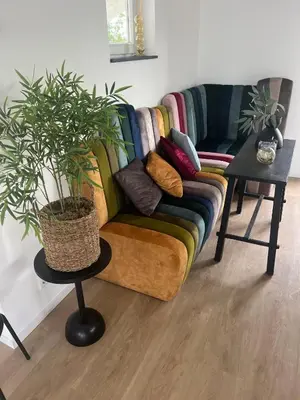 a couch sitting in a living room with a plant at Plassenzicht Logies & Sloepverhuur in Loosdrecht