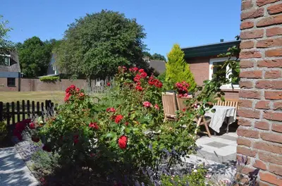a garden with red roses and benches in a yard at Zeelicht in Noordwijkerhout
