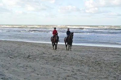 two people are riding horses on the beach at Zeelicht in Noordwijkerhout