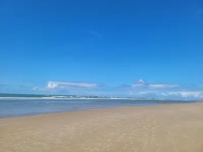 a sandy beach with the ocean in the background at pension canberra in Bergen aan Zee