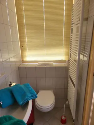 a bathroom with a toilet and a sink and a window at pension canberra in Bergen aan Zee