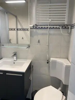 a bathroom with a toilet and a sink and a mirror at De Wulk 27 in Zandvoort
