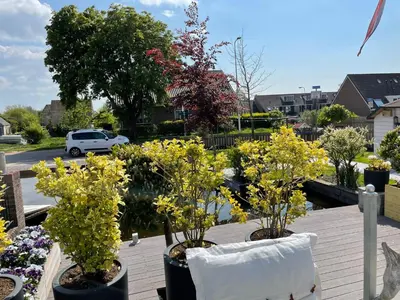 a group of potted plants sitting on a deck at Guesthouse BedNboot met terras aan het water in Rijpwetering