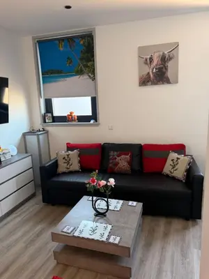 a living room with a black couch and a coffee table at Scottish Thistle in Zandvoort