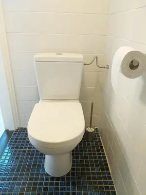 a white toilet in a bathroom with a roll of toilet paper at Zomerhuis aan Zee in Noordwijk aan Zee