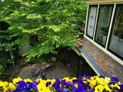 a view of a garden with a tree and flowers at Unique Courtyard House with Sauna in Alkmaar city center in Alkmaar