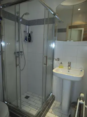 a bathroom with a shower and a sink at Ferienhaus-Naumann-Kreetz in Burgerbrug