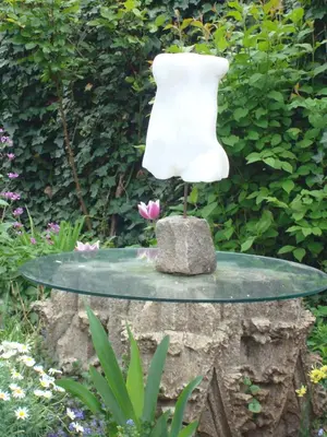 a vase on a glass table with a pink flower at Vakantiewoning De Lotus in Hoevelaken