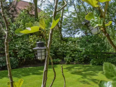 a bird feeder hanging from a tree in a yard at De IJsvogel in Heiloo