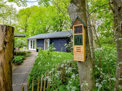 a bird house on a tree in front of a house at De IJsvogel in Heiloo