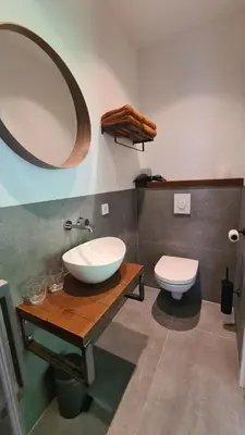 a bathroom with a sink and a toilet and a mirror at Koninginnehuis 35 in Zandvoort