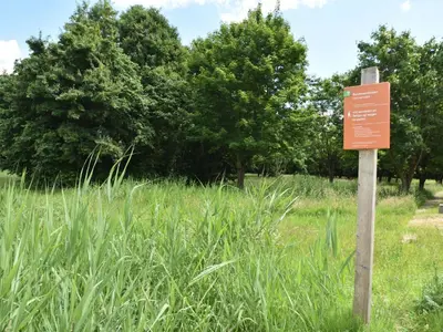 a sign in the middle of a field of tall grass at Holiday Home in Flevoland with Pool in Zeewolde