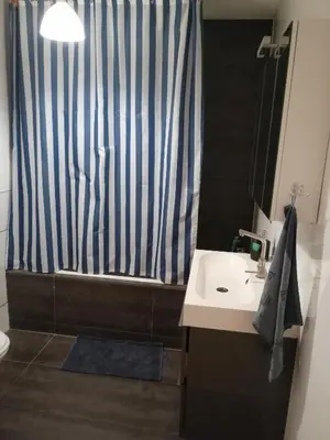 a bathroom with a shower and a sink and a tub at All you need, a comfy place in Amsterdam