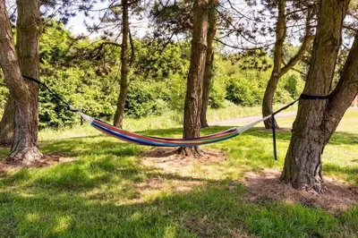 a hammock hanging between trees in a park at Green Tiny House with shared pool in Zeewolde