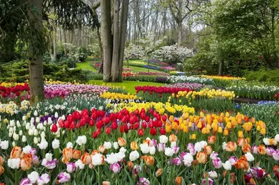 a garden filled with lots of colorful flowers at Have a nice stay! - Studio tussen de bossen en de bollenvelden in Noordwijkerhout