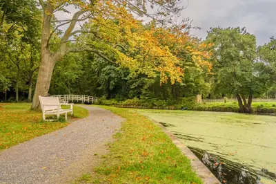a park bench sitting on a path next to a tree at Have a nice stay! - Studio tussen de bossen en de bollenvelden in Noordwijkerhout