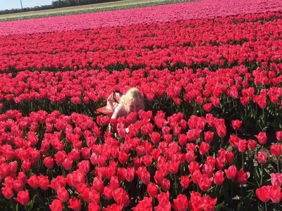 a girl in a field of red tulips at Stylish holiday home by the sea in Tuitjenhorn