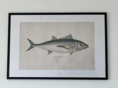 a drawing of a fish in a frame on a wall at Zwarte Vis in Zandvoort